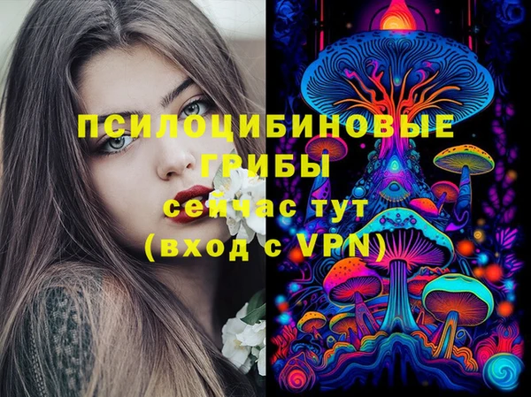 спиды Бугульма